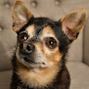 Meet your Posher, Mariana